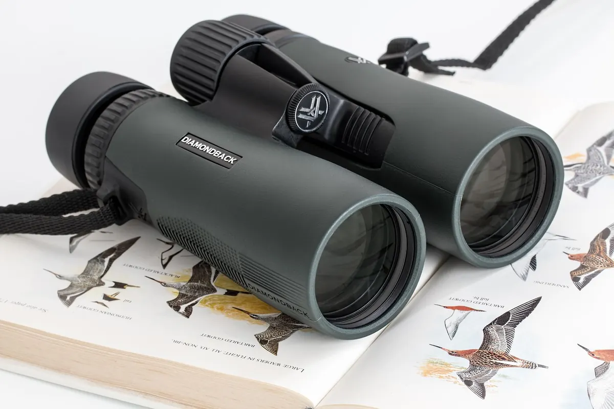 Common Mistakes New Birdwatchers Make and How to Avoid Them